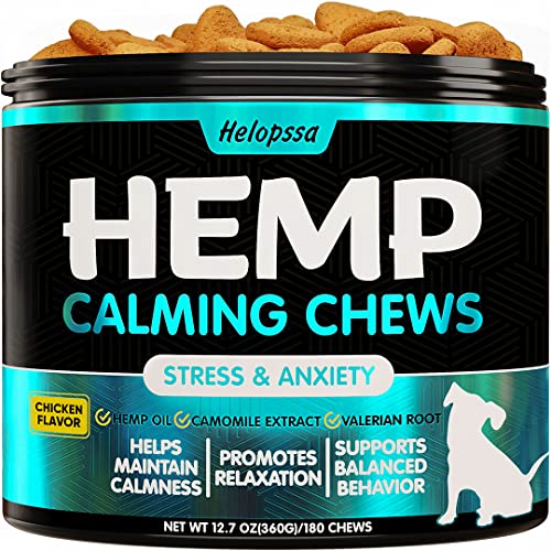 The Best Calming Hemp Chews for Dogs - Dogtime